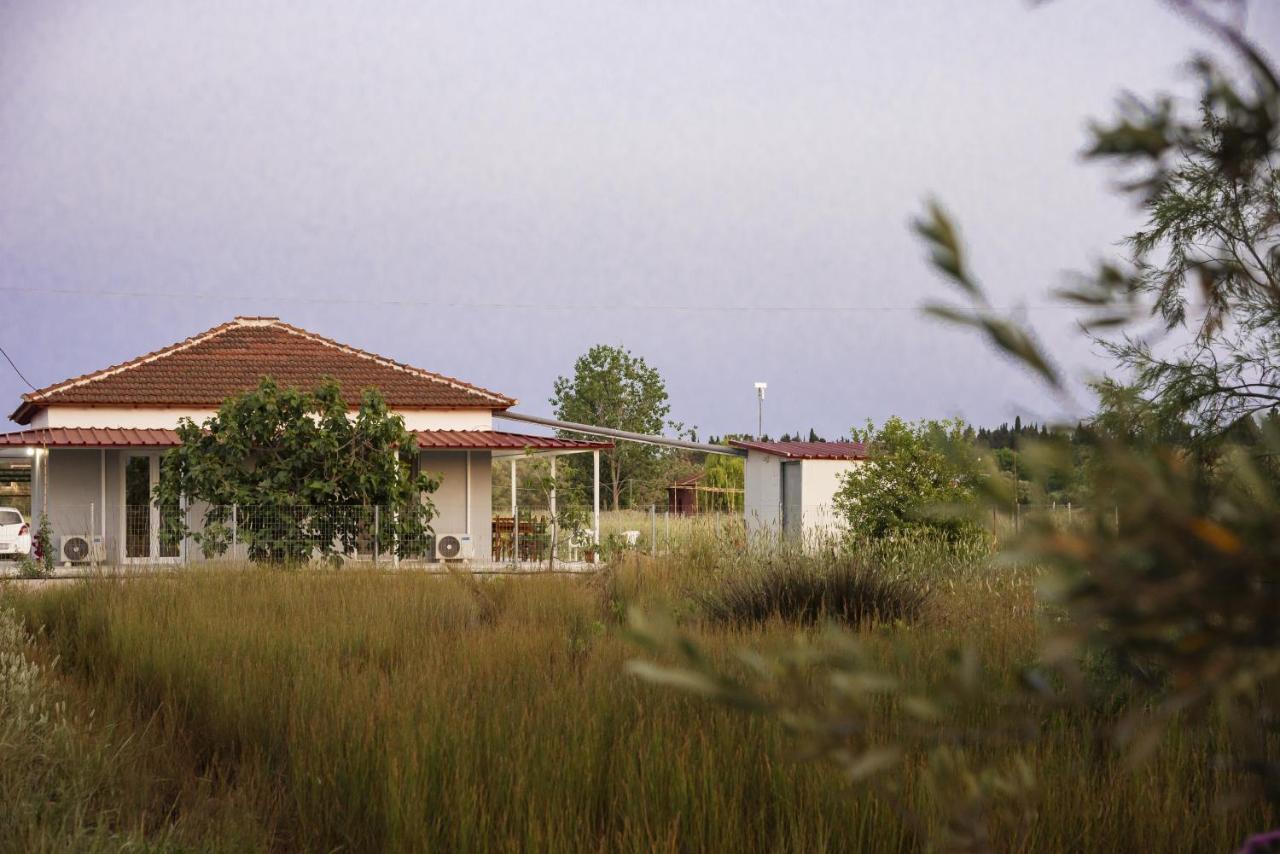 Villa Rosa South Corfu Mokilas Exteriér fotografie